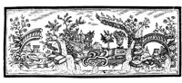 POC042D.TIF