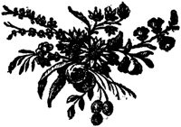 POC034E.TIF