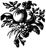 POC034A.TIF
