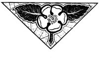 POC081L.TIF