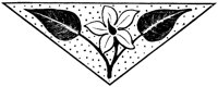 POC081J.TIF