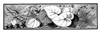 POC080J.TIF