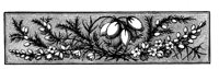 POC080I.TIF
