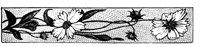 POC080B.TIF
