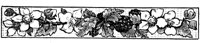 POC079J.TIF