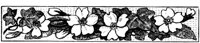 POC079I.TIF