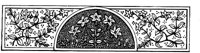 POC079H.TIF