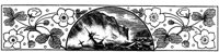 POC079E.TIF