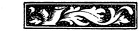 POC075H.TIF