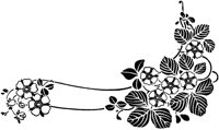 POC097I.TIF