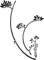 POC097D.TIF