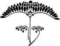 POC097C.TIF