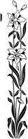 POC096L.TIF