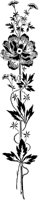 POC096G.TIF