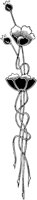 POC096E.TIF