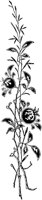 POC096A.TIF