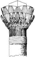 SOR015F.TIF