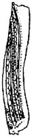 SOR006R.TIF