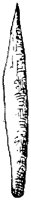 SOR005U.TIF