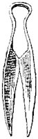 SOR005BB.TIF