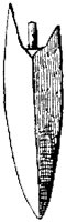 SOR064V.TIF