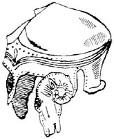 SOR064F.TIF