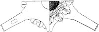 SOR054M.TIF