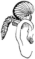 SOR042Q.TIF