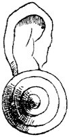 SOR042P.TIF