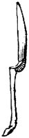 SOR084Q.TIF