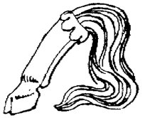 SOR084DD.TIF