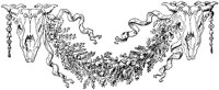SOR073P.TIF