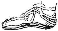 SOR065F.TIF
