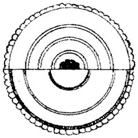 SOR096H.TIF