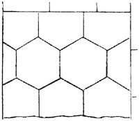 SOR224F.TIF