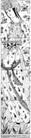 SOR224A.TIF