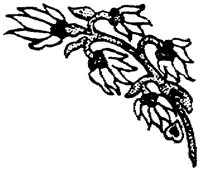 SOR221H.TIF
