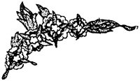 SOR221G.TIF