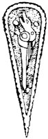 SOR179L.TIF