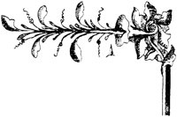 SOR265C.TIF