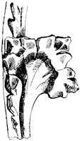 SOR256D.TIF
