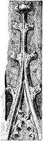 SOR256C.TIF