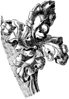 SOR256A.TIF