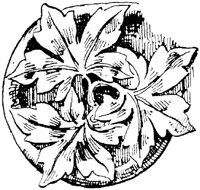 SOR255B.TIF