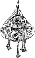 SOR246G.TIF