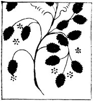 SOR245A.TIF