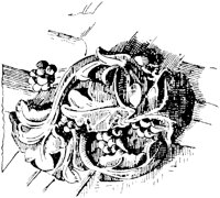 SOR243D.TIF