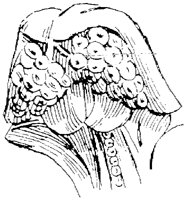 SOR242J.TIF