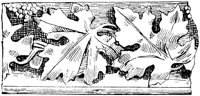 SOR242A.TIF