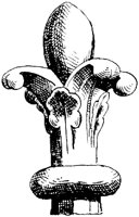 SOR239H.TIF